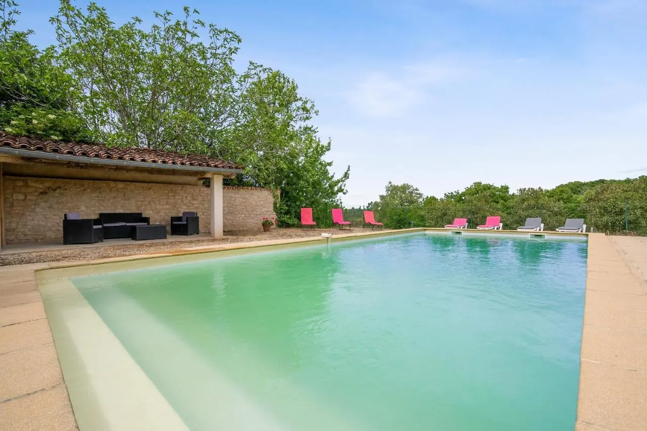 Villa Spacieuse Avec Piscine Privee A Salies 250 M² 6 Chbres France